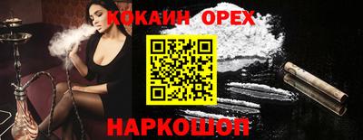 СК Гатчина