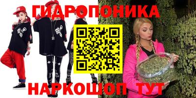 СК Гатчина