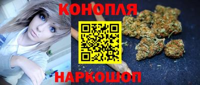 СК Гатчина
