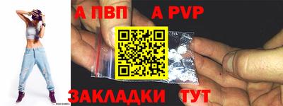 СК Гатчина