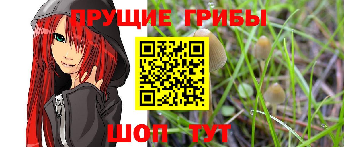 Псилоцибиновые грибы Cubensis  Галлюциногенные грибы Magic Shrooms  Вход с VPN  Вольск 