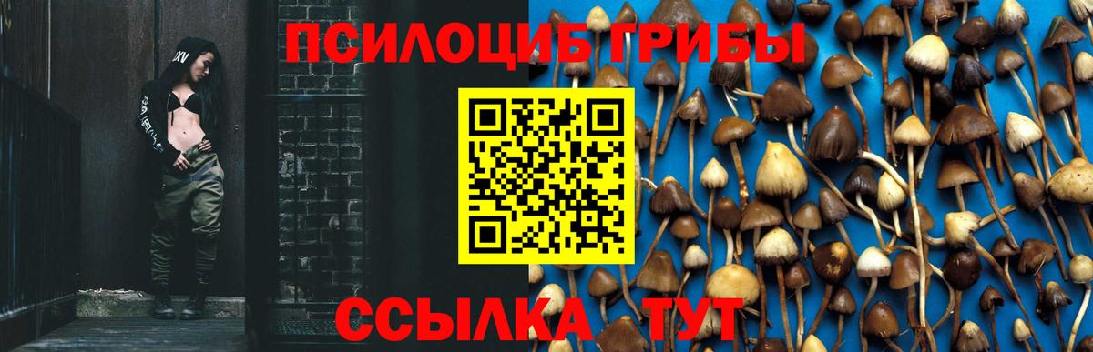 Галлюциногенные грибы Magic Shrooms Вольск